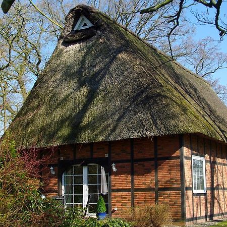 Gaestehaus Eulennest Grossenworden Exterior foto